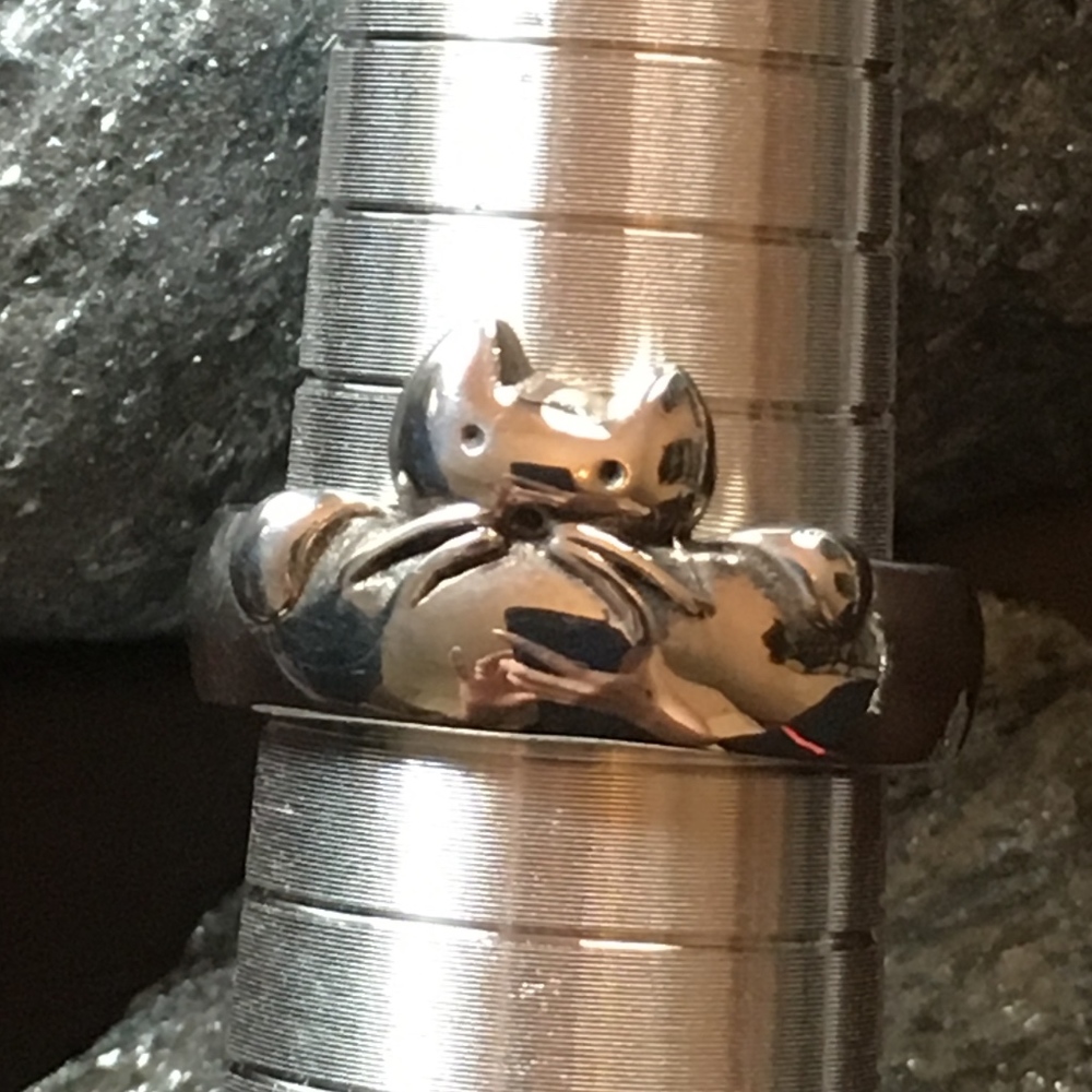 Sterling Silver Peek-a-Boo Cat Ring